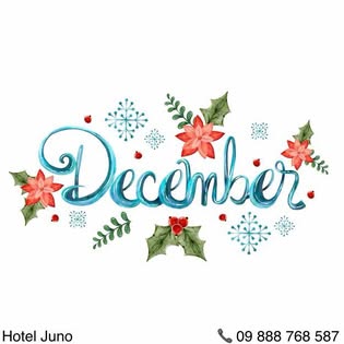 Hotel Juno  gallery 8